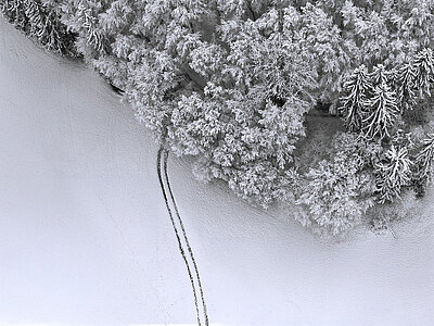 Albrecht Mozer, "Spuren im Schnee", 6. Platz Albrecht Mozer, "Spuren im Schnee", 6. Platz