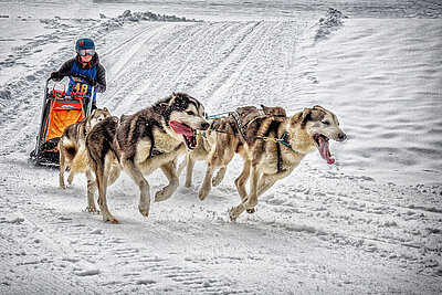 F. Schrattenecker, "Volle Kraft voraus", 4. Platz F. Schrattenecker, "Volle Kraft voraus", 4. Platz